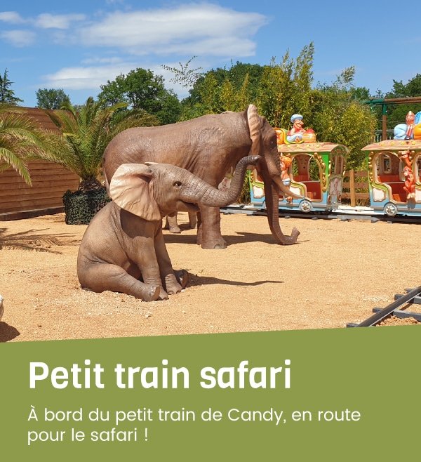 Activité Candyland - Petit train safari